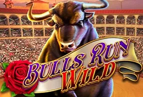 Bulls Run Wild